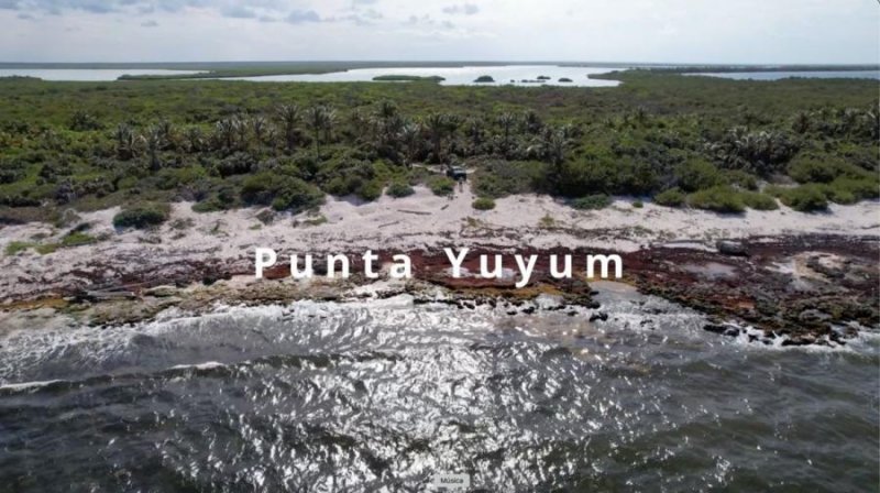 Terreno en Venta en  Tulum, Quintana Roo