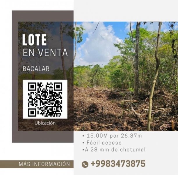 Foto Terreno en Venta en Bacalar, Quintana Roo - $ 438.000 - TEV354856 - BienesOnLine