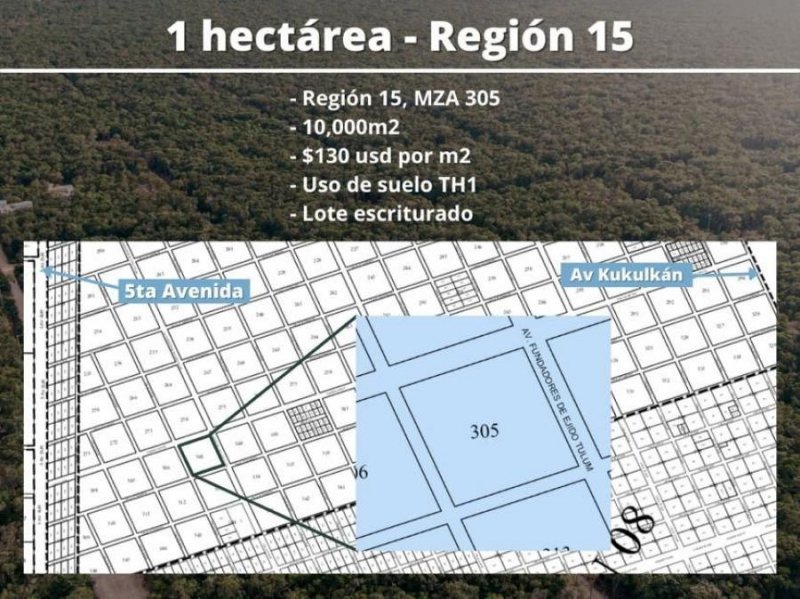 Foto Terreno en Venta en Tulum, Quintana Roo - U$D 13.000.000 - TEV333701 - BienesOnLine