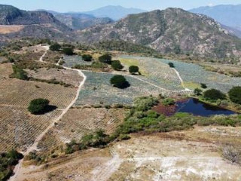 Casa en Venta en EL MIRADOR Tequila, Jalisco