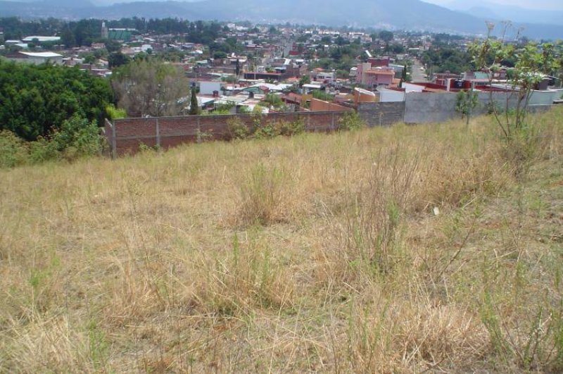 Foto Terreno en Venta en Uruapan, Michoacan de Ocampo - $ 500.000 - TEV10500 - BienesOnLine