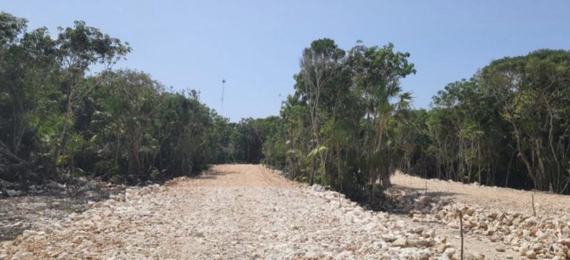 Foto Terreno en Venta en Aldea zama, Tulum, Quintana Roo - U$D 2.891.782 - TEV328857 - BienesOnLine