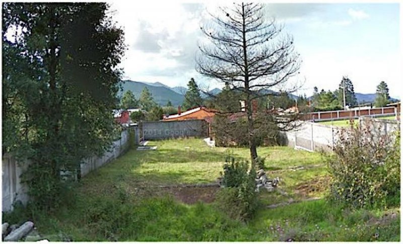 Foto Terreno en Venta en Bosques de Omitlán, Omitlán de Juárez, Hidalgo - $ 1.199.000 - TEV128362 - BienesOnLine