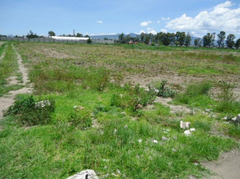 Foto Terreno en Venta en San Gregorio Cuautzingo, Chalco de Díaz Covarrubias, Mexico - $ 18.000.925 - TEV174253 - BienesOnLine