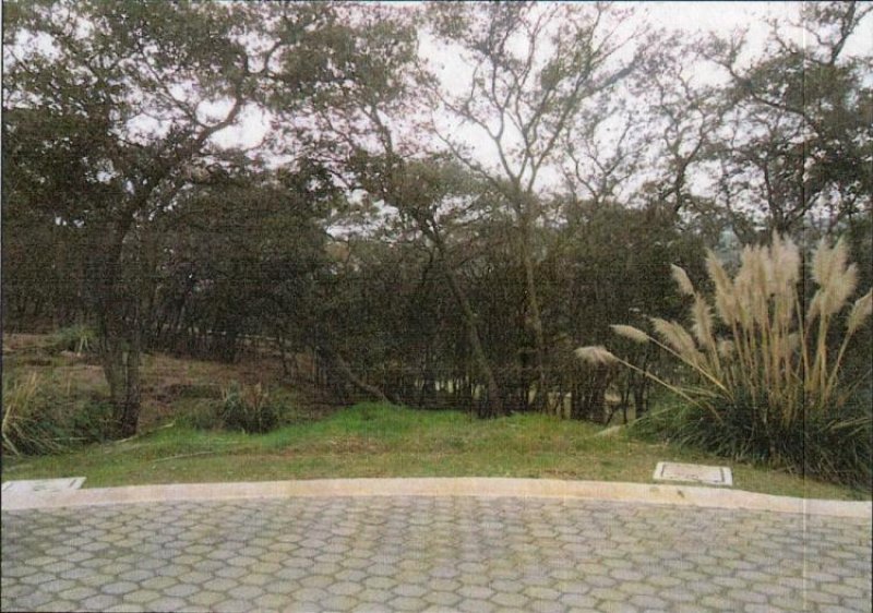 Foto Terreno en Venta en Real de Valle Escondido, Atizapan de Zaragoza, Mexico - $ 18.900.000 - TEV166181 - BienesOnLine