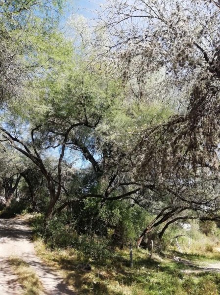 Terreno en Venta en La Cieneguita San Miguel de Allende, Guanajuato