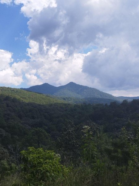 Mazati, Terreno en medio del bosque y con vista a la sierra de Tapalpa. 