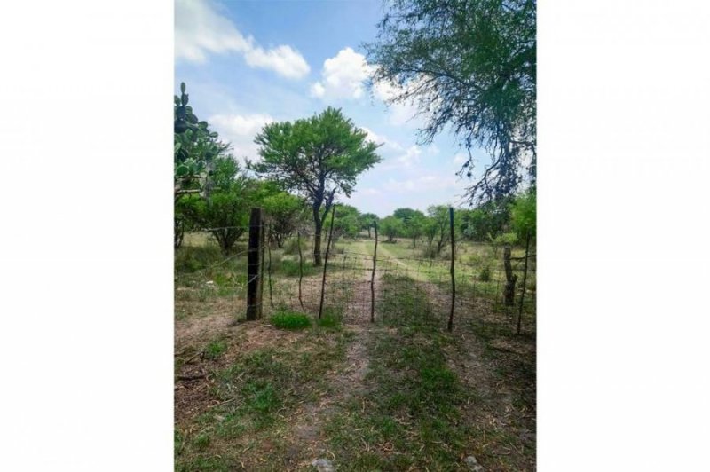 Terreno en Venta en Viñedos San Lucas San Miguel de Allende, Guanajuato