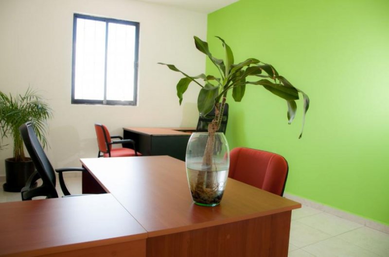 Foto Oficina en Renta en CENTRO, Querétaro, Queretaro Arteaga - $ 5.800 - OFR251017 - BienesOnLine