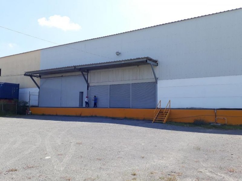 Foto Bodega en Renta en Valente Díaz, Veracruz, Veracruz - BOR244600 - BienesOnLine