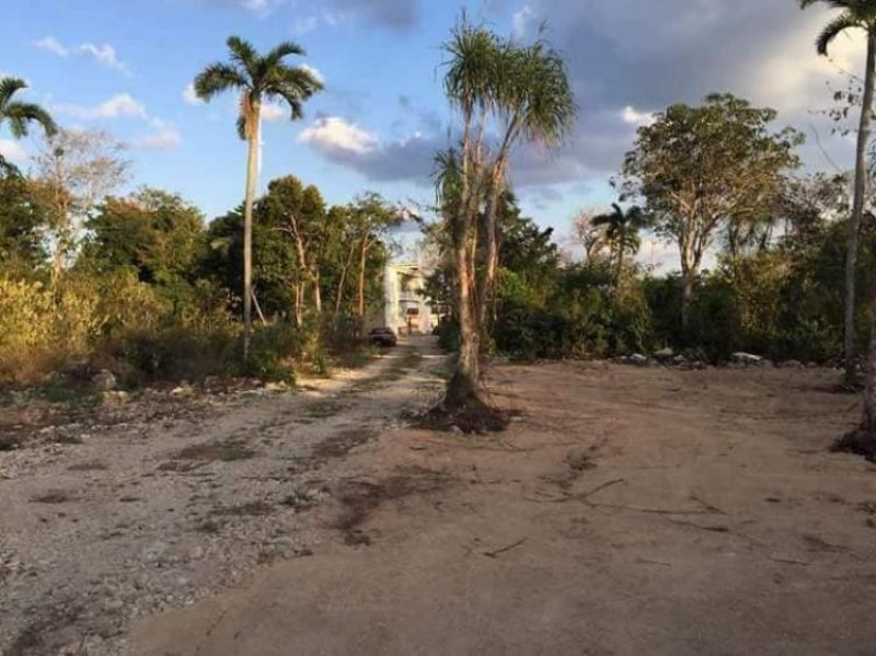 Foto Terreno en Venta en Tulum, Quintana Roo - $ 1.500.000 - TEV229664 - BienesOnLine