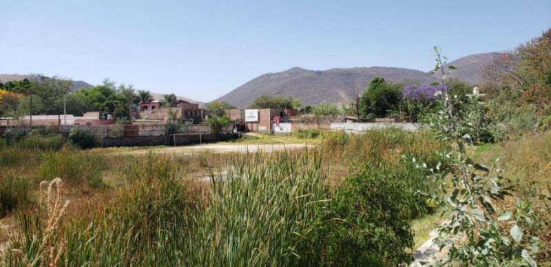 Foto Terreno en Venta en Centro, Tlajomulco de Zúñiga, Jalisco - $ 15.000.000 - TEV296829 - BienesOnLine