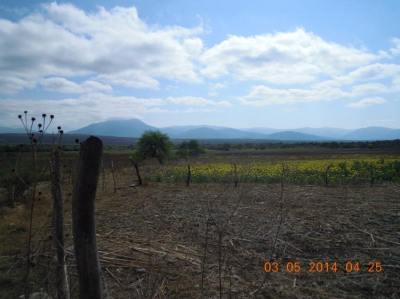 Rancho en Venta en Carretera Quelital - Carrizal km. 3 Lagunillas Quelital y Carrizal, San Luis Potosi