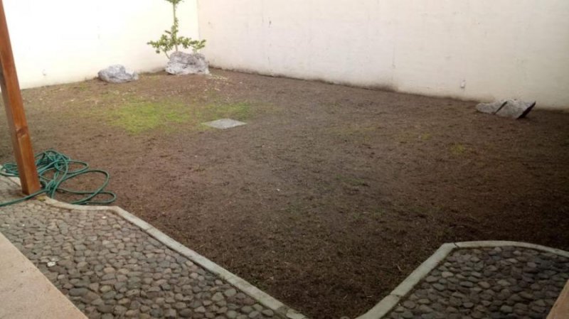 Foto Oficina en Renta en LOMAS VERDES, Colima, Colima - $ 1.300 - OFR267240 - BienesOnLine