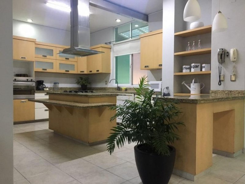 Foto Oficina en Renta en esmeralda norte, Colima, Colima - $ 3.500 - OFR264078 - BienesOnLine