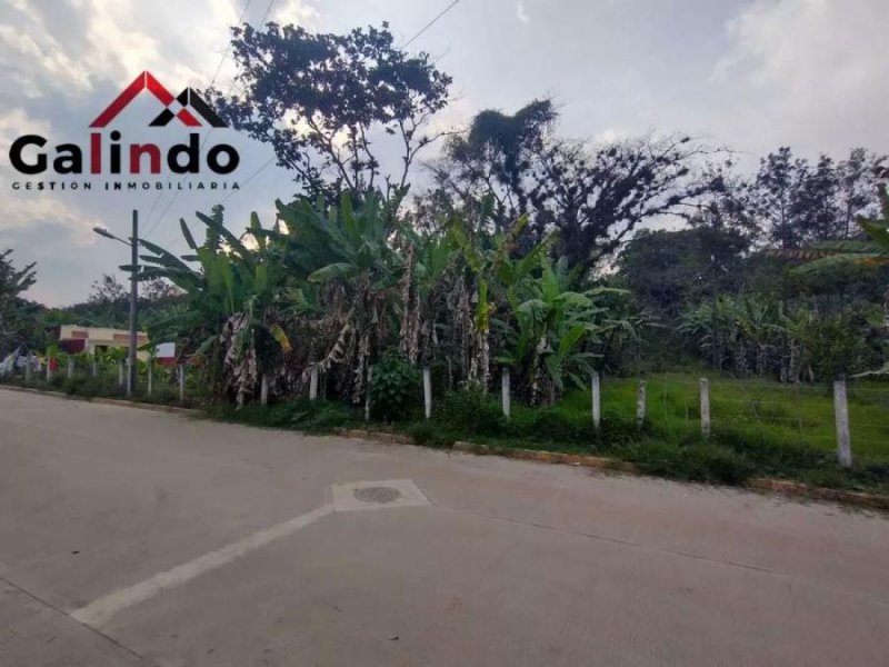 Terreno en Venta en  Xico, Veracruz