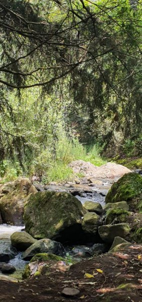 Terreno en Venta en BARRIO EL RANCHO Lerma de Villada, Mexico