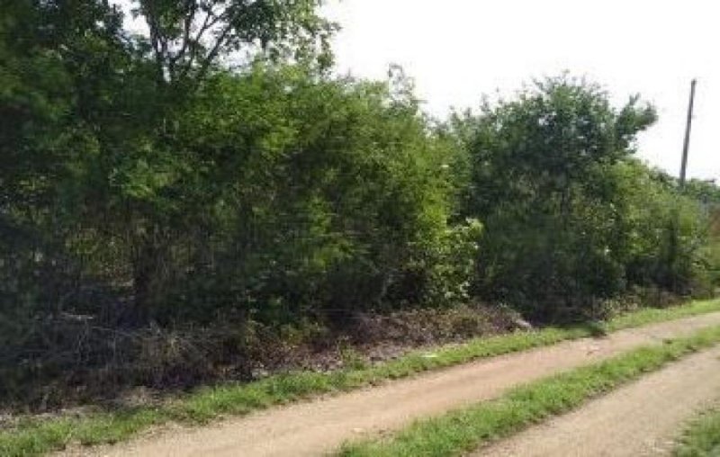 Foto Terreno en Venta en ITZINCAB, Umán, Yucatan - $ 128.000 - TEV304350 - BienesOnLine