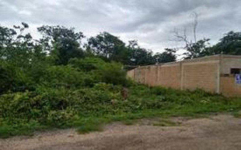 Foto Terreno en Venta en Tizimín, Yucatan - $ 163.200 - TEV306061 - BienesOnLine