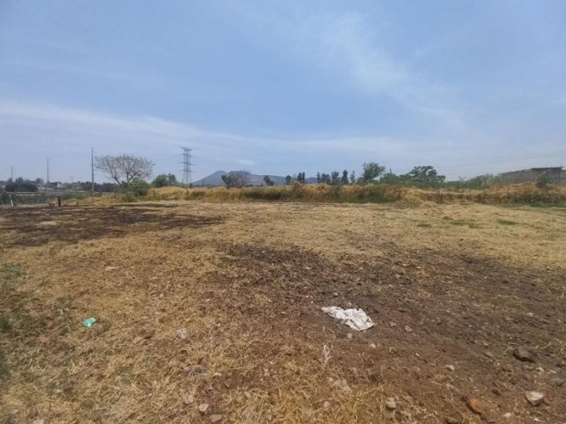 Foto Terreno en Venta en Zamora de Hidalgo, Michoacan de Ocampo - $ 28.500.000 - TEV355906 - BienesOnLine