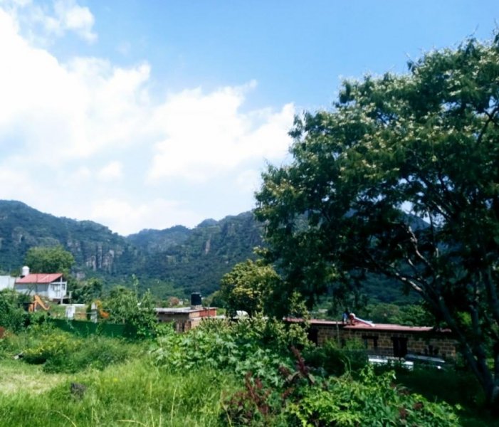 Terreno en Venta en AMATLAN Tepoztlán, Morelos