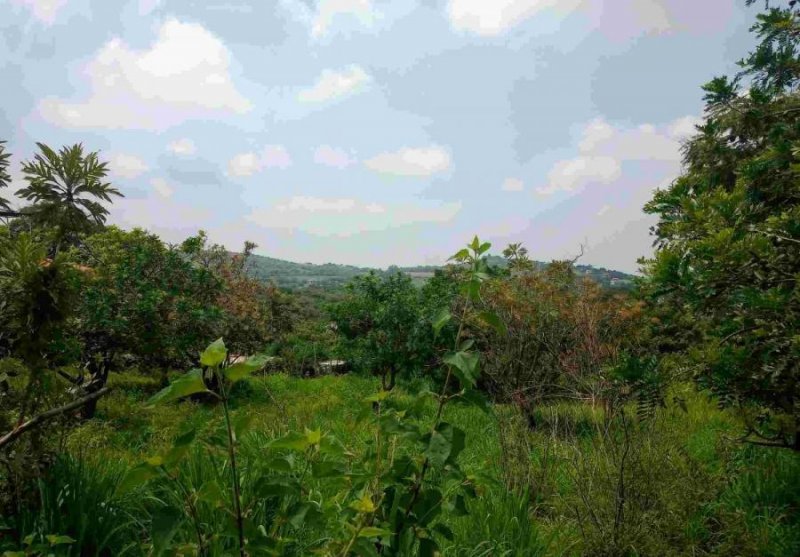 Terreno en Venta en Carretera Ocotitlan tepoztlan Tepoztlán, Morelos