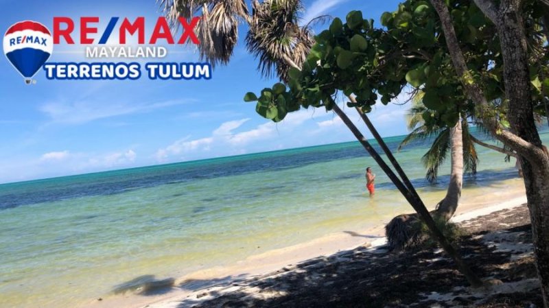 Foto Terreno en Venta en punta allen, Tulum, Quintana Roo - $ 30.000.000 - TEV358593 - BienesOnLine