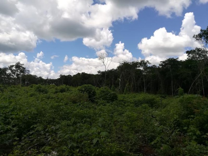 Terreno en Venta en  yalcoba, Yucatan