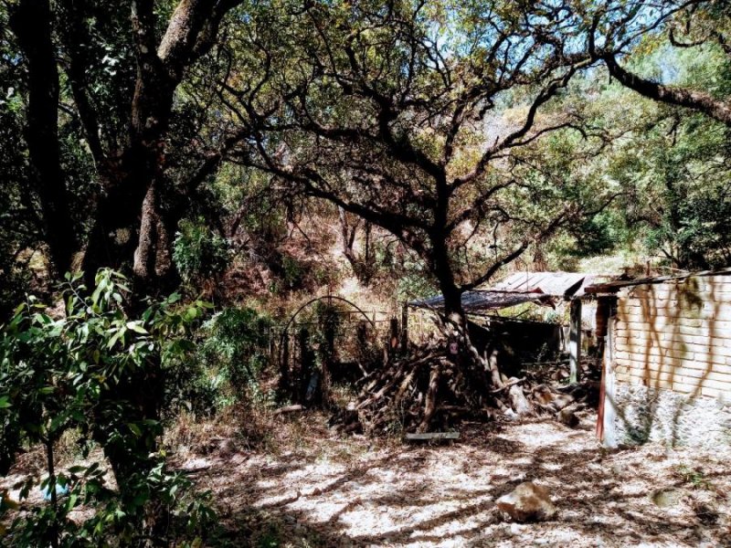 Terreno en Venta en OCOTES Tepoztlán, Morelos