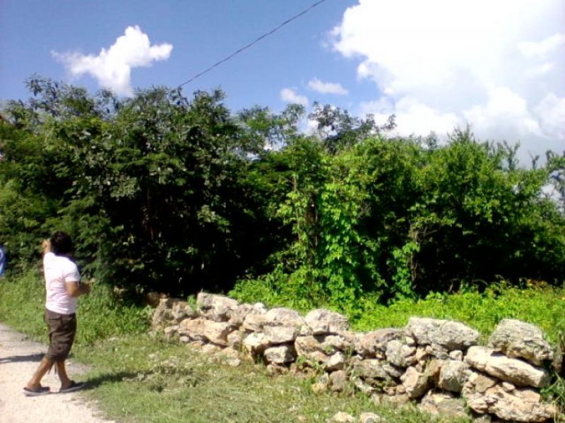 Foto Terreno en Venta en Mérida, Yucatan - 4 hectareas - TEV42817 - BienesOnLine