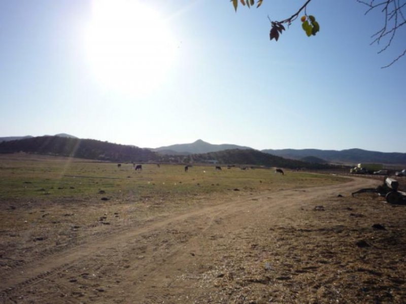 Foto Rancho en Venta en Ojos Negros, Ensenada, Baja California - 32 hectareas - U$D 500.000 - RAV8542 - BienesOnLine