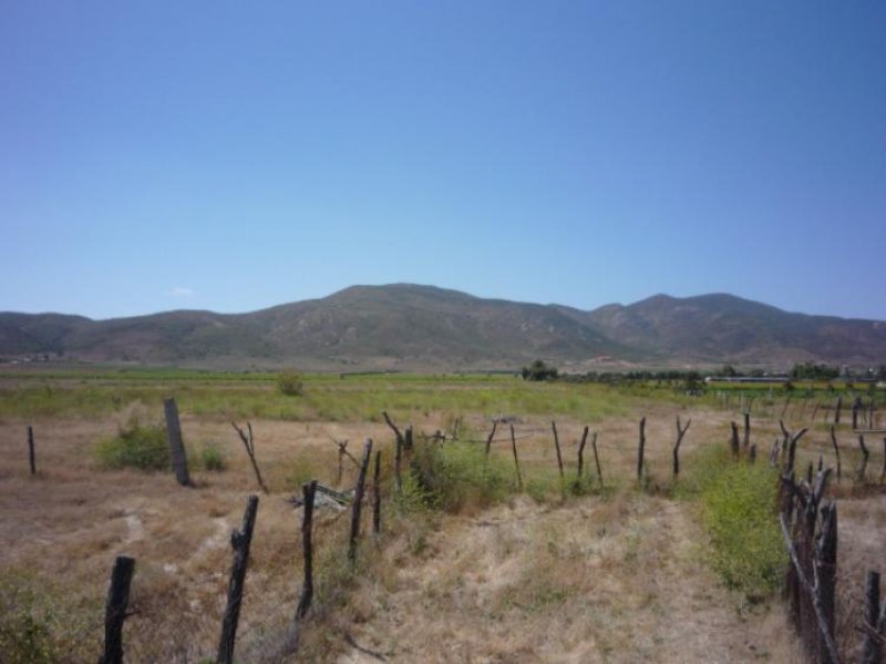 Foto Rancho en Venta en El Porvenir, Ensenada, Baja California - U$D 1.300.000 - RAV41384 - BienesOnLine