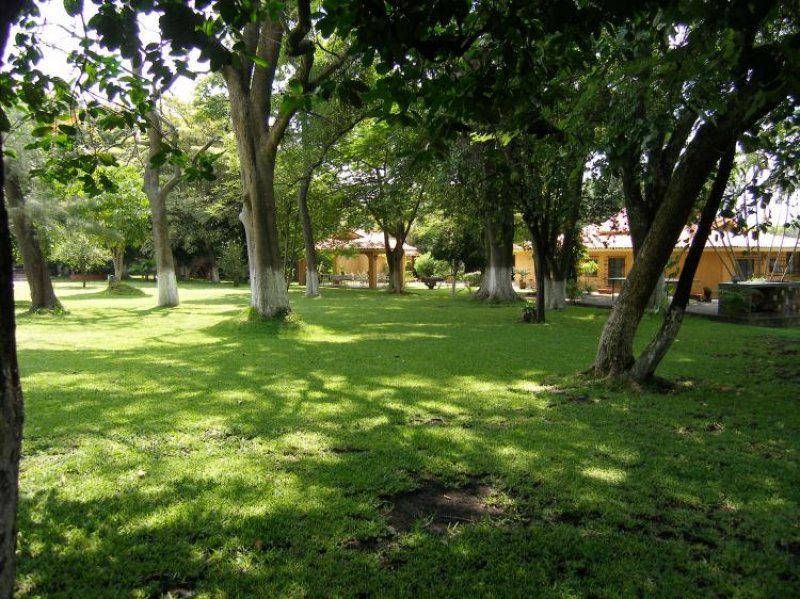 Foto Casa en Venta en PALMIRA, Cuernavaca, Morelos - $ 8.000.000 - CAV9769 - BienesOnLine