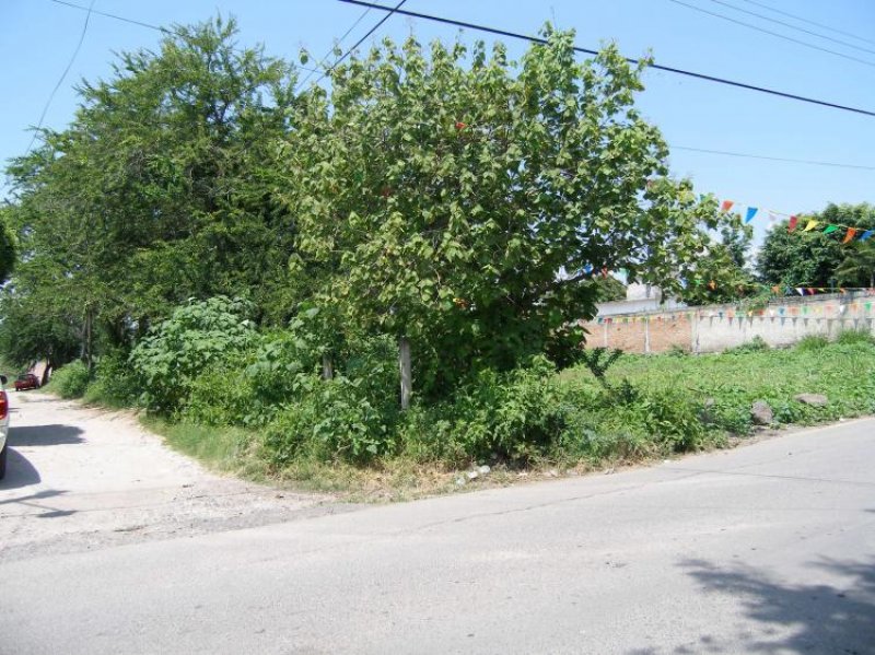 Foto Terreno en Venta en Yautepec de Zaragoza, Morelos - $ 1.575.000 - TEV7006 - BienesOnLine