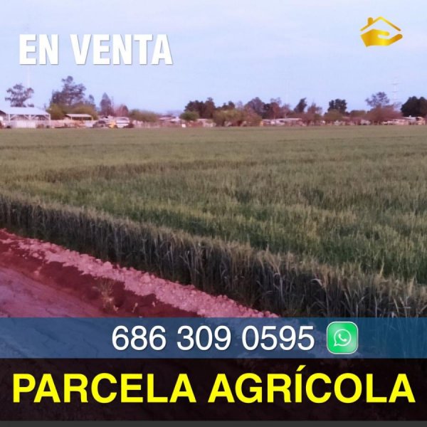 Rancho en Venta en Palo Verde Mexicali, Baja California