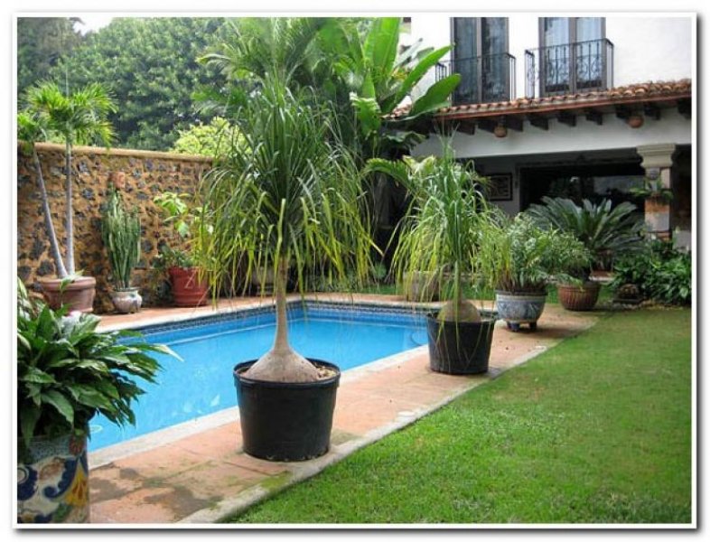 Foto Casa en Venta en Lomas de Cortés, Cuernavaca, Morelos - $ 5.800.000 - CAV27153 - BienesOnLine