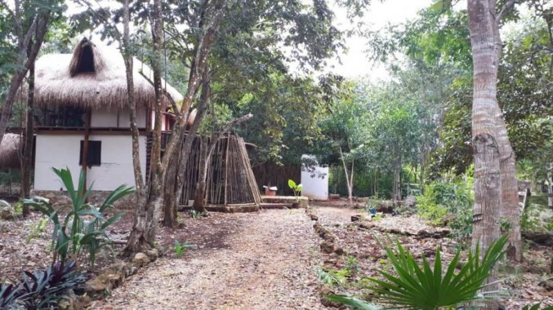 Casa en Venta en Buena Vista Buenavista, Quintana Roo