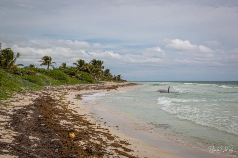 Terreno en Venta en Puerto Angel Mahahual, Quintana Roo