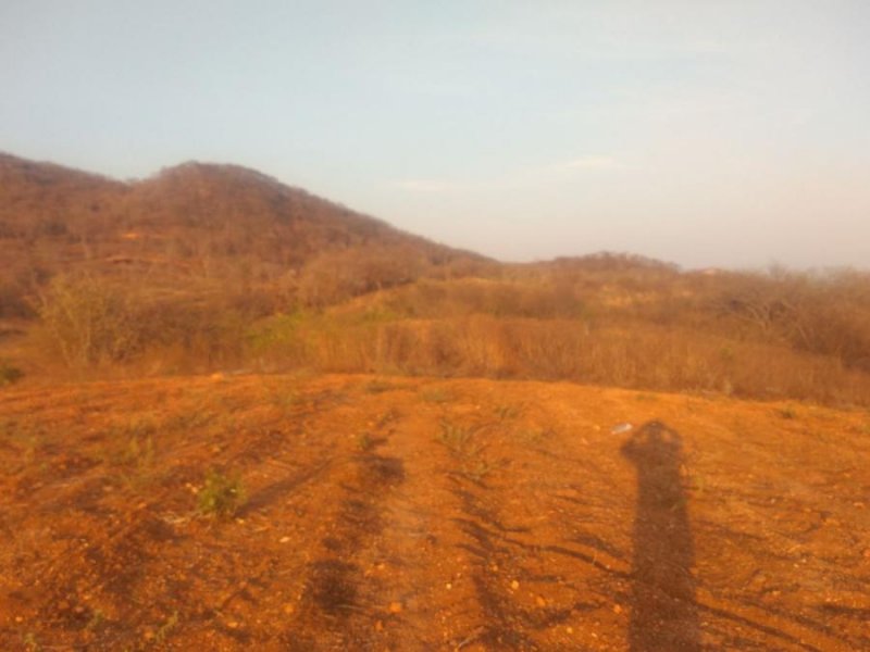 Terreno en Venta en AUTOPISTA A PUERTO ESCONDIO SN Puerto Escondido, Oaxaca