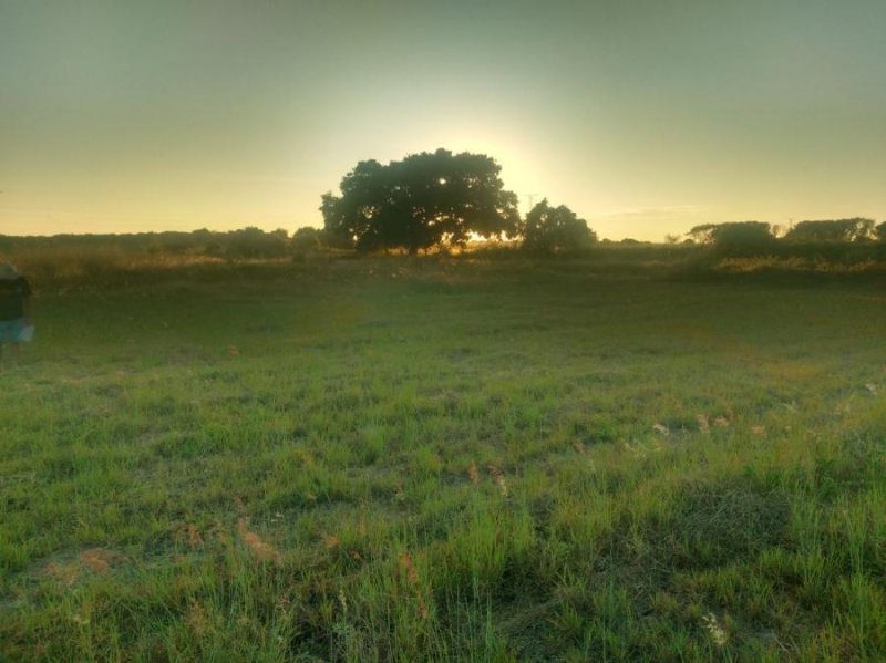 Terreno en Venta en  Puerto Escondido, Oaxaca