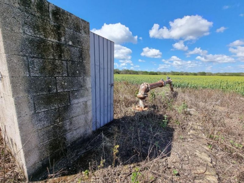 Rancho en Venta en  Alfredo V. Bonfil, Campeche