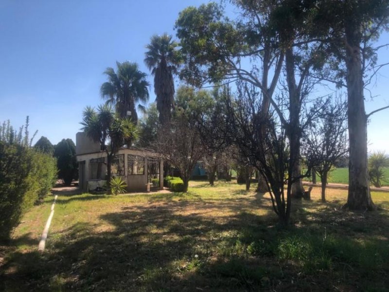 Rancho en Venta en  Doctor Mora, Guanajuato