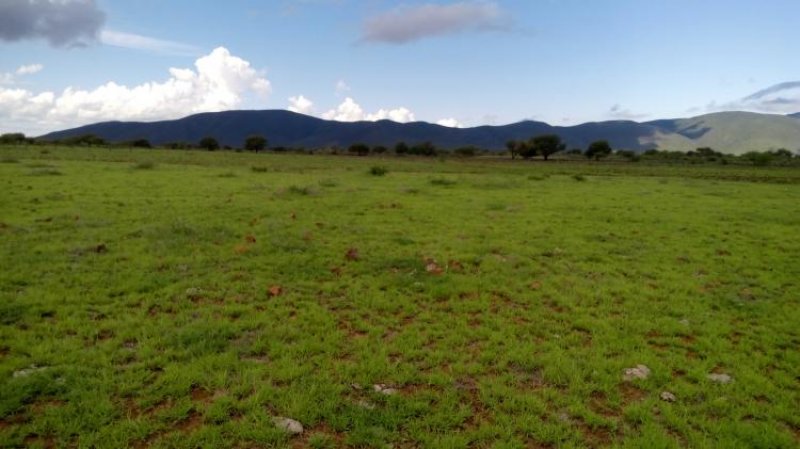 Rancho en Venta en El Órgano El Órgano, San Luis Potosi