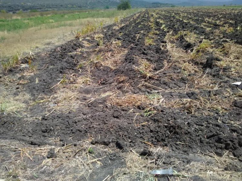 Rancho en Venta en Rancho de la Cienega del Valle San Ciro de Acosta, San Luis Potosi