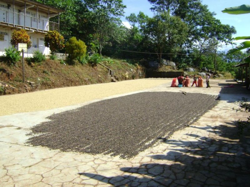 Terreno en Venta en piedra canoa Huixtla, Chiapas