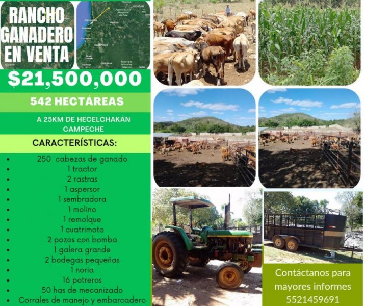 Rancho en venta 542 hectáreas 