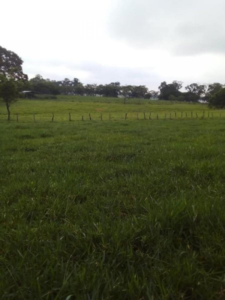 Foto Rancho en Venta en La Ceibita, Teapa, Tabasco - $ 1.700.000 - RAV329171 - BienesOnLine