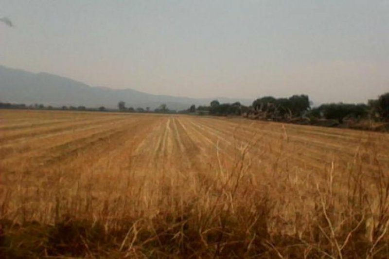 Rancho en Venta en  Irapuato, Guanajuato