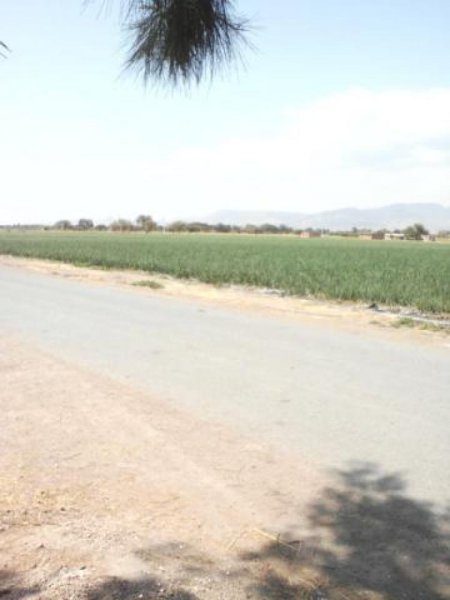 Rancho en Venta en  Abasolo, Guanajuato