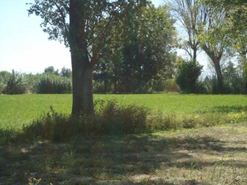 Rancho en Venta en  Abasolo, Guanajuato